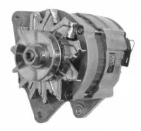 Top-Seller Lichtmaschine für LANDINI MASSEY FERGUSON, 65A 12V