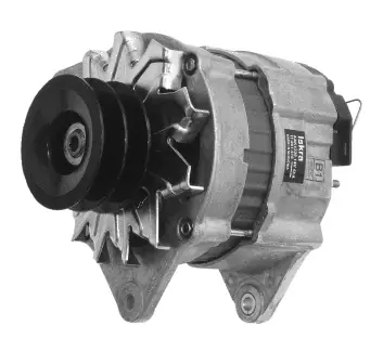 Lichtmaschine Mahle MG590 IA0415 für LANDINI, 65A 12V Direkt Vom Hersteller
