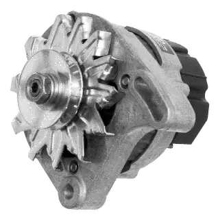 Lichtmaschine Mahle MG21 IA0711 LOMBARDINI, 65A 12V Preis Gesenkt