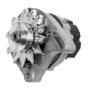Lichtmaschine Mahle MG18 IA1011 für LOMBARDINI, 80A 12V Super-Preis
