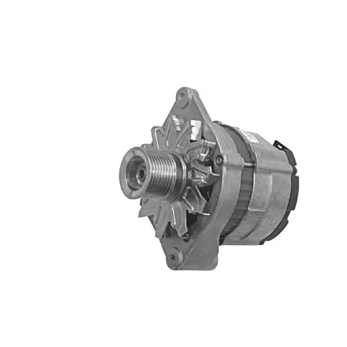 Direkt Vom Hersteller Lichtmaschine Iskra Letrika RENAULT AGRAR IA1165, 75A, 12V