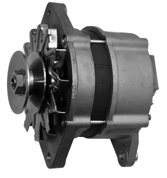 Lichtmaschine Mahle MG502 IA1351 für GEHL MANITOU, 95A 12V Online Kaufen