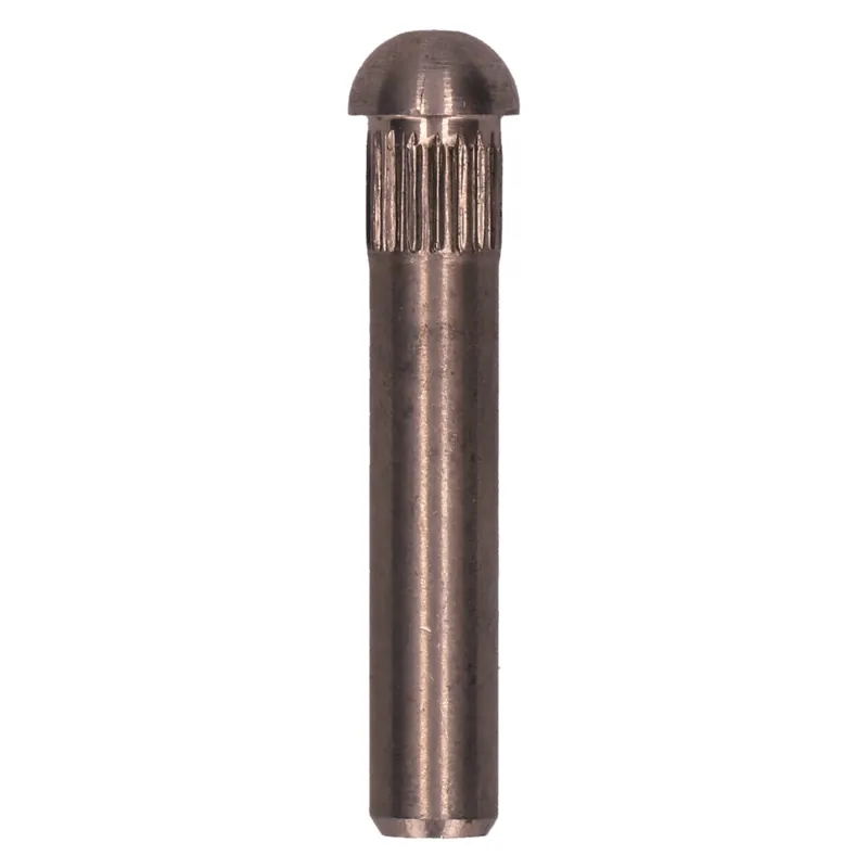 Türscharnierbolzen 9.0mm - Edelstahl passend für Bus T1 -07/67 Echt